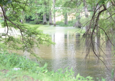 Photo of the Bayou